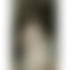 Lady Evelyn Farquhar (preview)