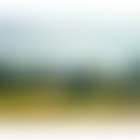 Landscape with trees (preview)