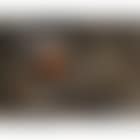 Larimma III (preview)