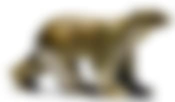Polar bear (preview)