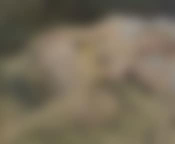 Reclining nude (preview)