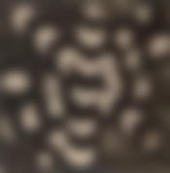 Constellation (preview)