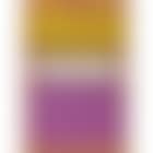 White centre, yellow, pink and lavender on rose (preview)