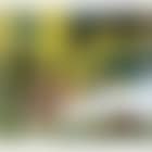 Those who are here again (preview)