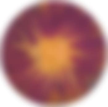 Untitled, spin (preview)
