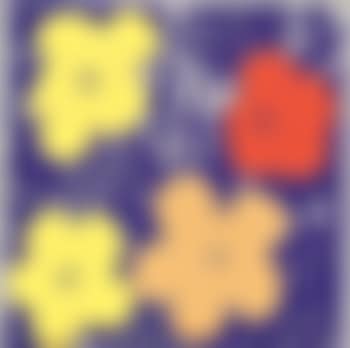 Andy Warhol - Flowers (preview)