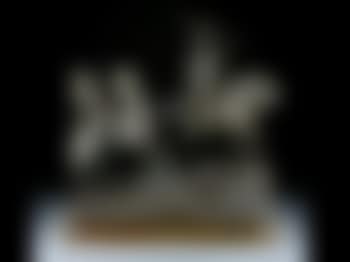Two Circassians (preview)