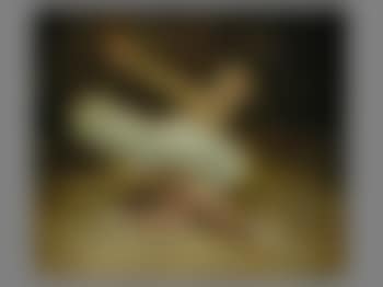 The dying swan (preview)