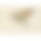 Study for bedroom paint num 73 (preview)