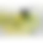 Still life with pears and lemons (preview)