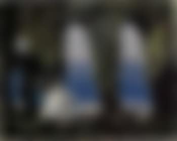 Ladies on the shore (preview)