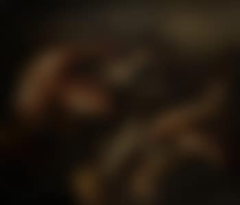Still life of fish (preview)