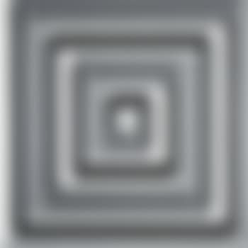 Black and white maze (preview)