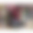 Der Werwolfmeese de Mees (preview)