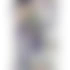 Der alte Fanatiker (preview)