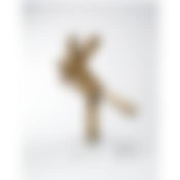 Untitled (preview)
