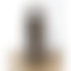 Figure in the frame (preview)
