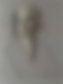 Portrait of a woman (preview)