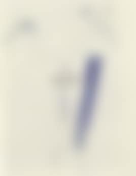 Waterbird (preview)