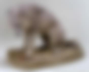 Wolf with bone (preview)