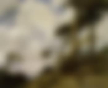 Windswept cypress, Point Lobos (preview)
