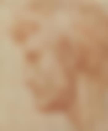 Man's portrait (preview)