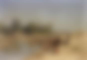Washerwomen by river (preview)