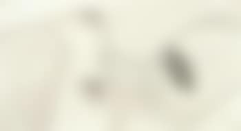 Nude (preview)