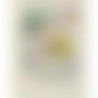 La bague d'aurore (preview)