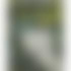 Pecheur en barque (preview)