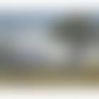 Mingoola Valley (preview)
