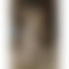 Study for femme au coquillage (preview)