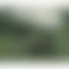 Haymaking (preview)