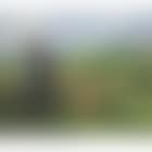 Young shepherdess watching over her flock (preview)