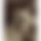 Trianon, Buffrt, lion (preview)