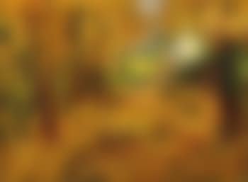Park von St. Cloud, Herbst I (preview)