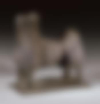 Petit toro (preview)