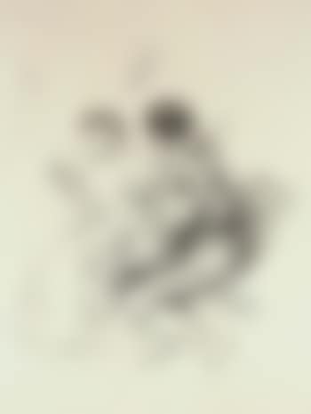 Amoureux (preview)