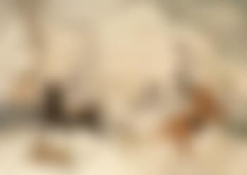 Duelling pair (preview)