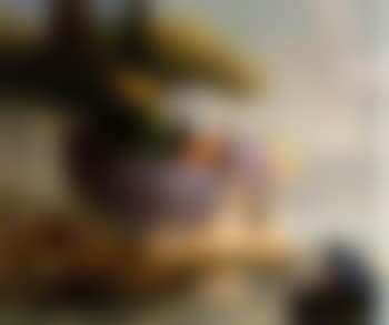Boat by the shore of Lake Como (preview)