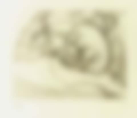 Head on a pillow (preview)