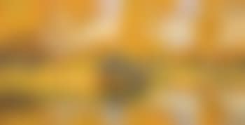 Autumn reflections (preview)