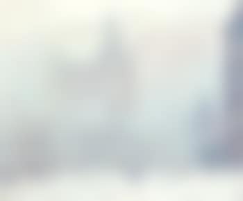 A view of City Hall, New York (preview)