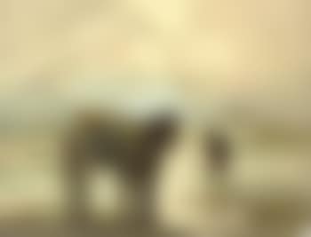 Clam digger and horse cart (preview)
