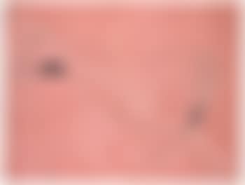 Diagonal (preview)