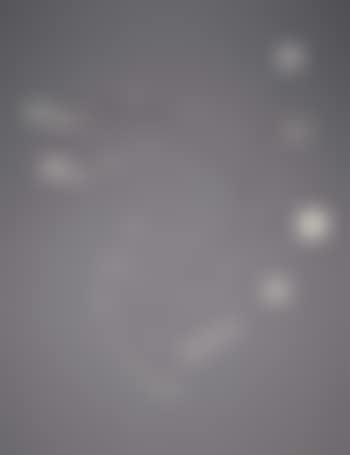 Gypsophila (preview)