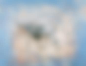 Untitled (preview)
