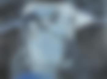 4 of 5 (preview)