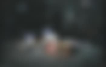 Tramp (preview)