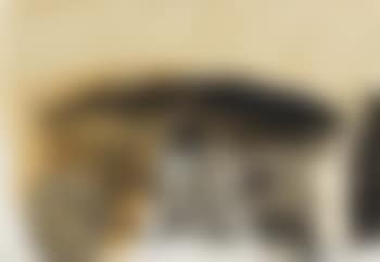 Gewitter, 11 (preview)